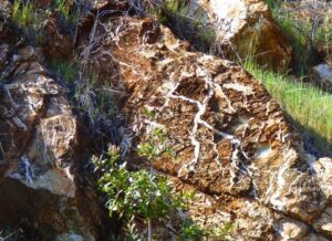 quartz stringers in bedrock