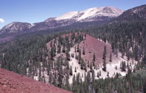 lost gold ledge of mammoth mountain