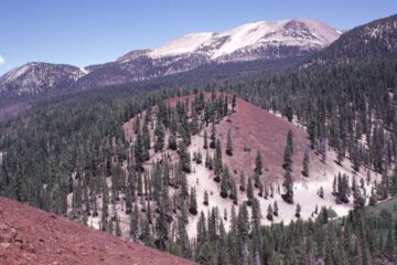 lost gold ledge of mammoth mountain